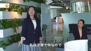 動画再生（YouTube）