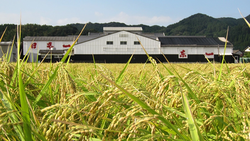 五町田酒造株式会社
