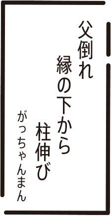 父倒れ　縁の下から　柱伸び　がっちゃんまん