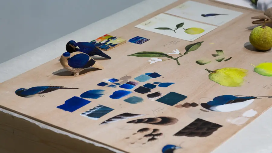 オランダスタディツアー2023の写真